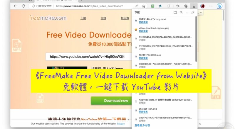 FreeMake Free Video Downloader from Website